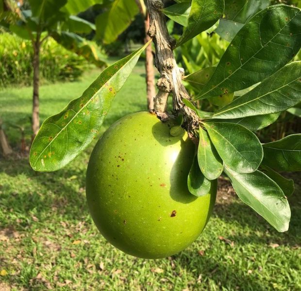 WhatsApp Image 2024-07-11 at 10.44.40 AM (1)